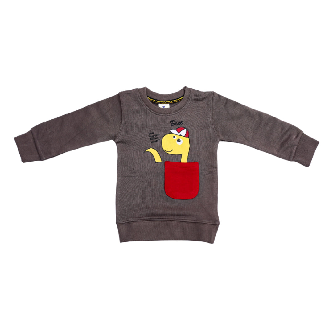 G00009┃BOYS WINTER STYLISH  SWEATSHIRT