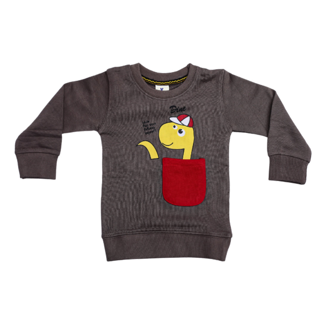 G00009┃BOYS WINTER STYLISH  SWEATSHIRT